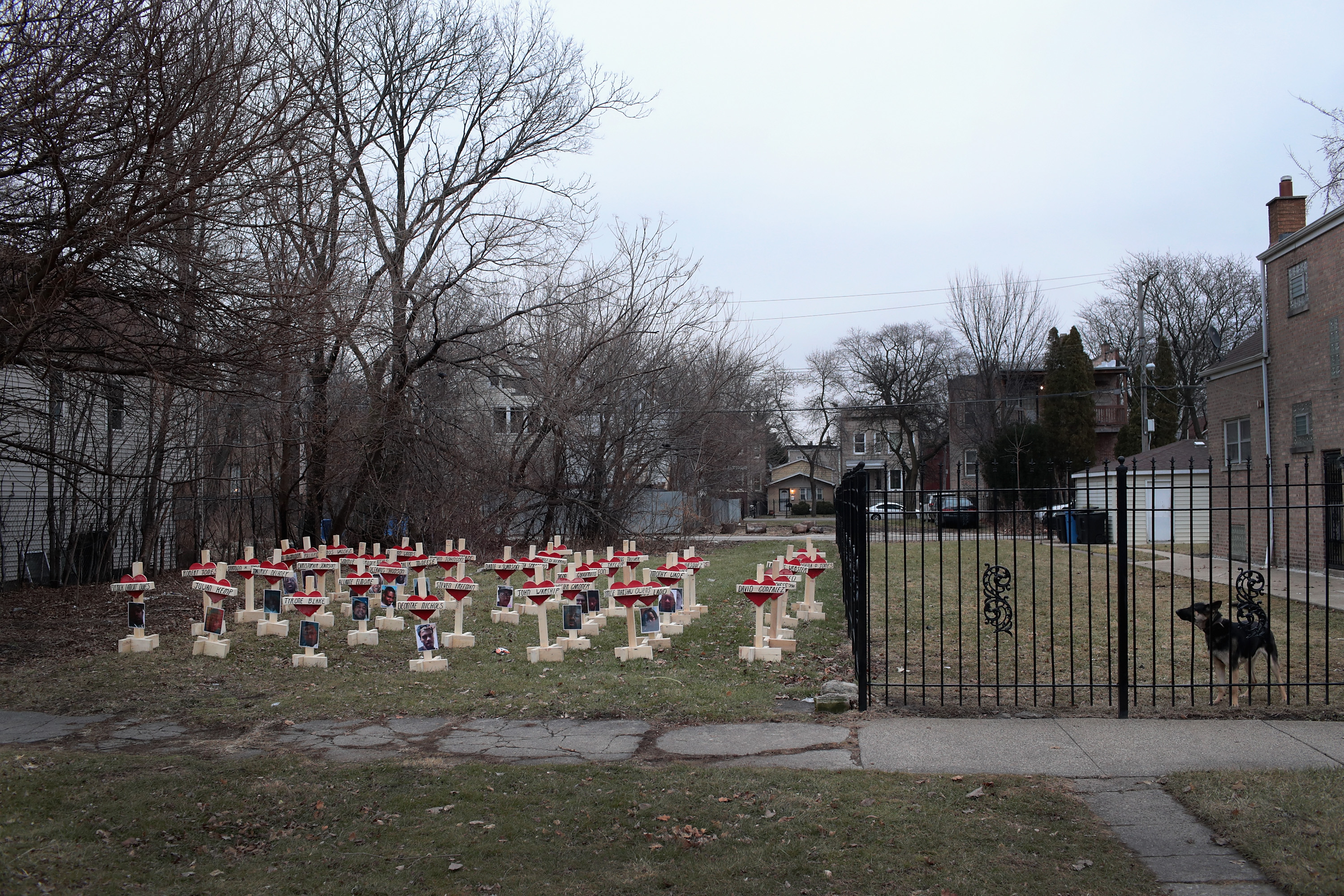 43 White Crosses Mark Chicago Shooting Fatalities Of 2017