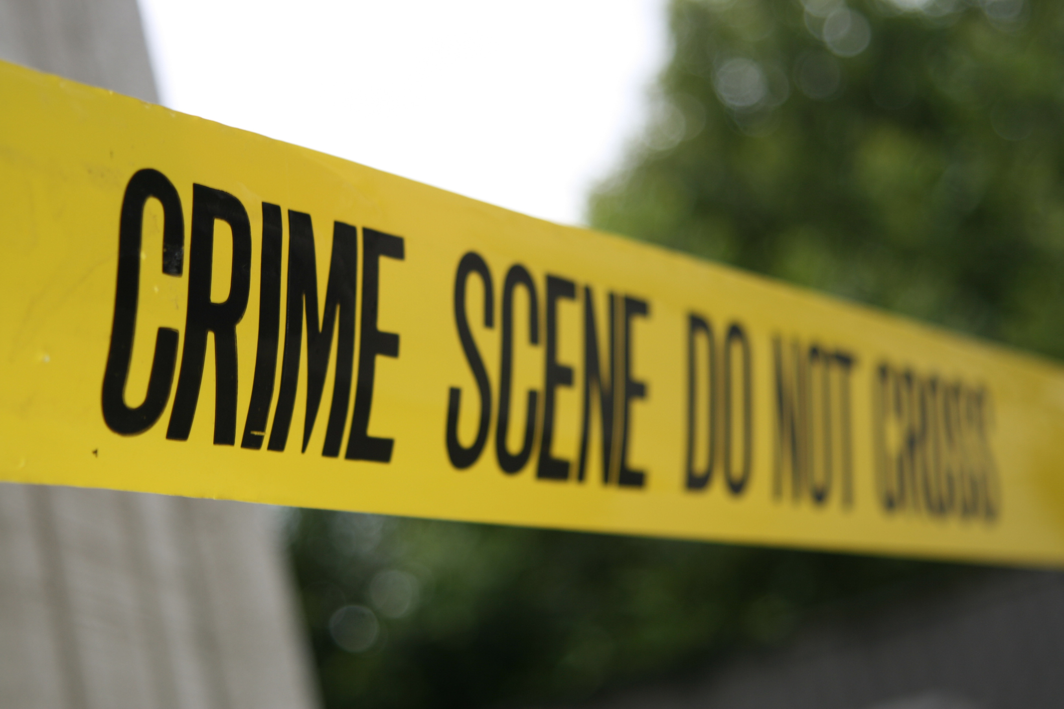 Crime Scene and trees
