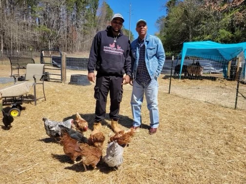 Reec Swiney - BlackYard Chickenz
